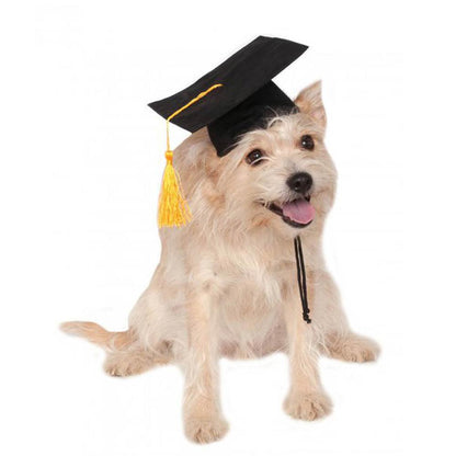 Tassel Degree Hat Pet Products